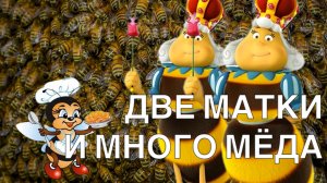 ВСЕГДА ДВЕ МАТКИ И МНОГО МЁДА