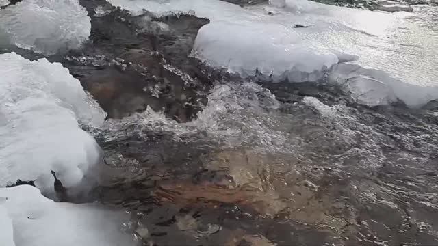Замедленное видео для медитации 💨