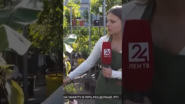 Цитрус Микс в новостях
