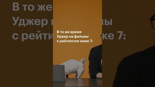 Терьер Уджер (он же Тотошка) выбирает фильмы по рейтингу. Смотрите новое видео на канале!