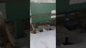 Поилка для коров и лошадей, которая выдерживает любой мороз