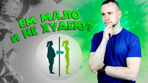 Почему одни едят мало и не худеют, а другие едят много и не толстеют
