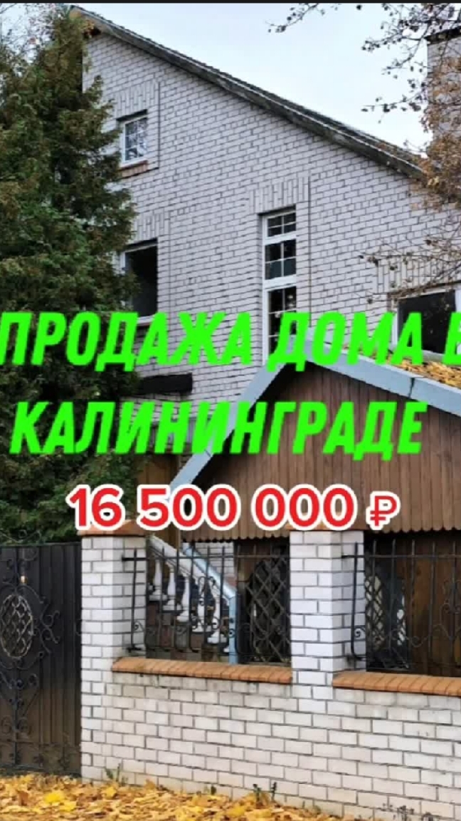 Цена до нового года📞+7 950-677-89-98