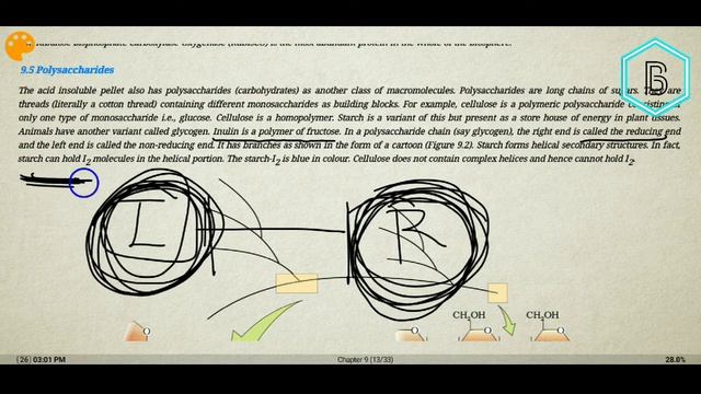 Biomolecules Complete CHAPTER NCERT|| NCERT EXPLANATION BIOMOLECULES