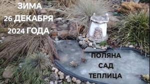 Зима 26 декабря. Поляна. Сад. Теплица.