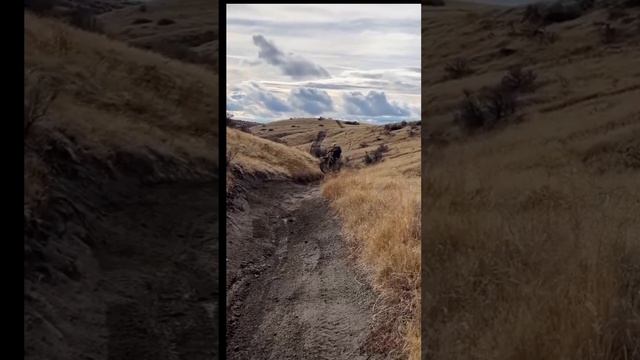 Мото тропка😬