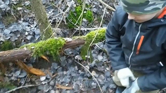 Нашли с Гошей знак "Гвардия" в лесу. Коп по войне. смотреть онлайн