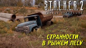 СТРАННОСТИ В РЫЖЕМ ЛЕСУ ➤ S.T.A.L.K.E.R. 2: Сердце Чернобыля #35