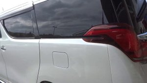 TOYOTA VELLFIRE & ALPHARD トヨタ ヴェルファイア & アルファード BOX CAR 箱車