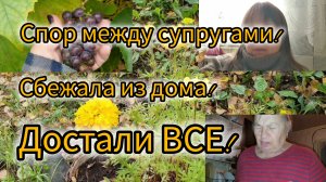 8-9.10.2023 На дачу с ночёвкой на 2 дня!😃Странная осень!🤔🍂Как я🧄сажала!Первый урожай винограда!