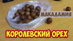 КОРОЛЕВСКИЙ ОРЕХ МАКАДАМИЯ
