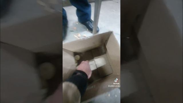 машина для очистки лука смотреть онлайн