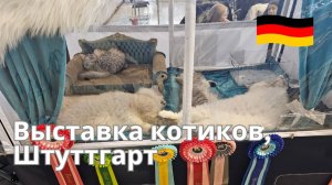Выставка животных в Штуттгарте, Котики, Собачки и прочие милые звери.