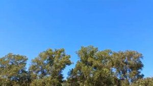 26-12-2024Рыбалка