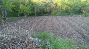 Построил дровник.