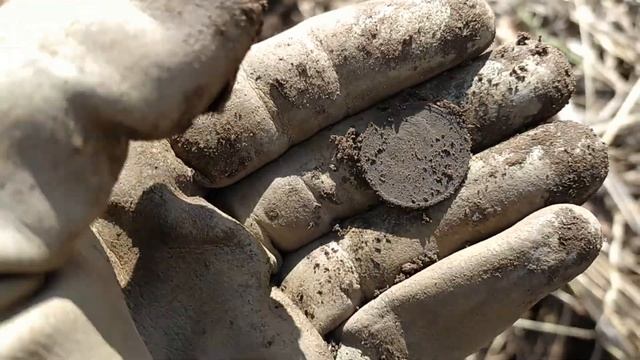 Не ожидал найти здесь такое смотреть онлайн