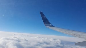 Полёт на самолёте