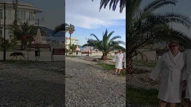 О море в Гаграх,о пальмы в Гаграх