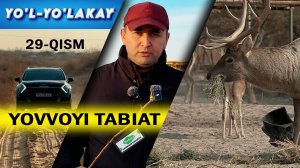 YOʻL-YOʻLAKAY 29-QISM. YOVVOYI TABIAT
