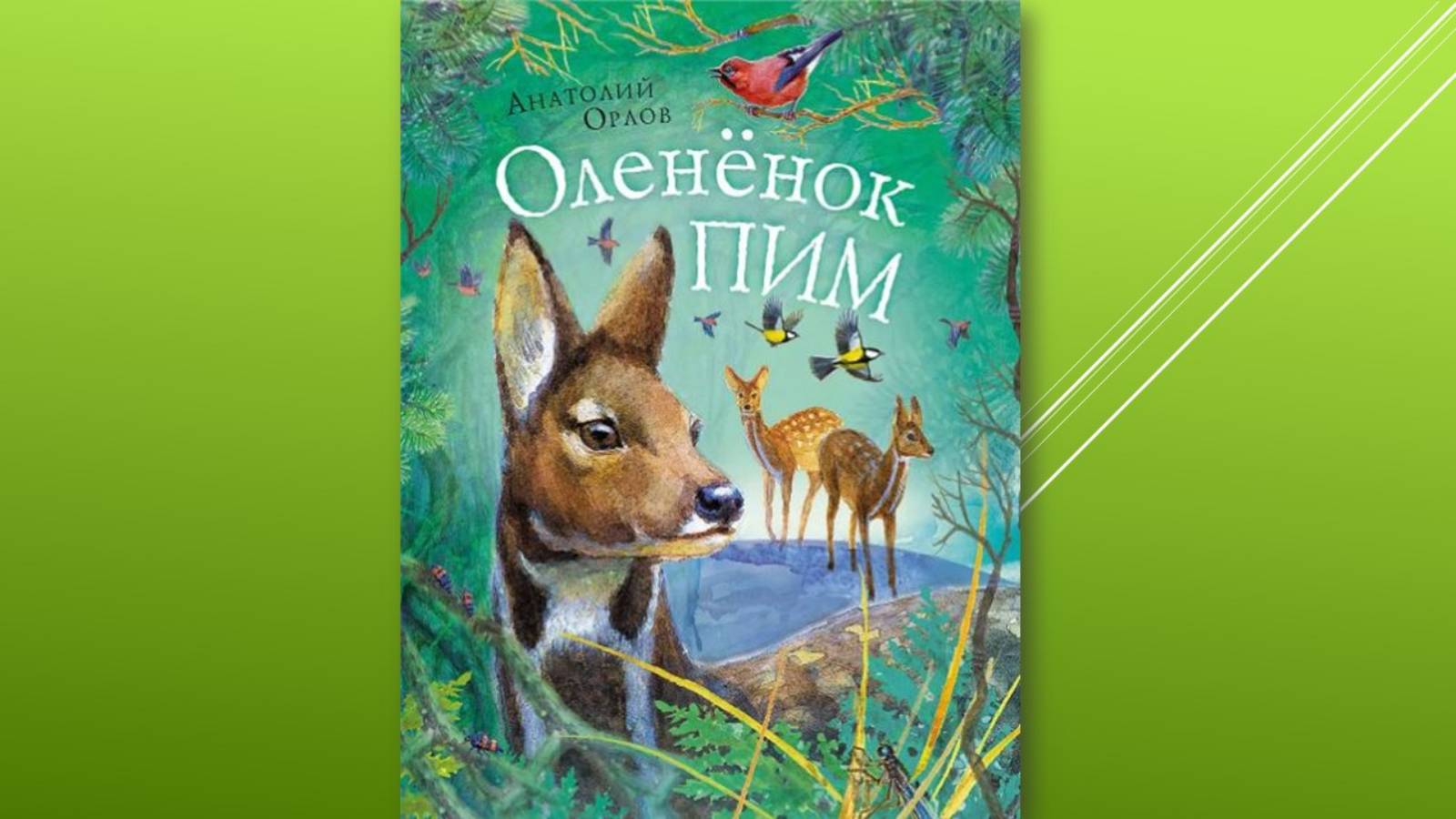 4. Главы "Язык леса", "Не стало Пимочки" из книги  А. Орлова "Оленёнок Пим"