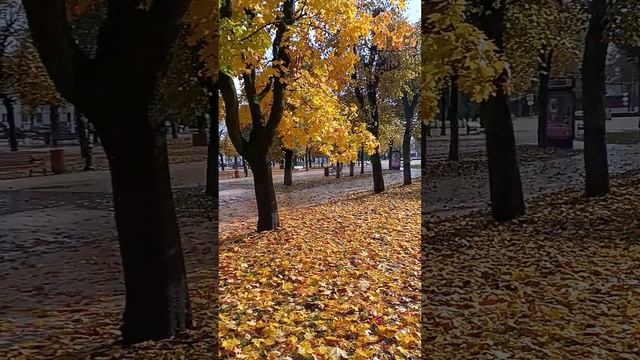 КОЛОКОЛЬНЫЙ ЗВОН #shorts  #осень  #колокольныйзвон