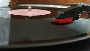 26 ноября 2024 г.