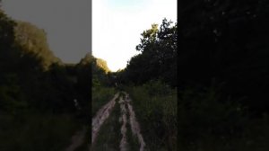 БОРЩ ИЗ БОРЩЕВИКА)