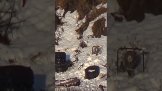 Sytong AM03-35 LRF. 200 и 300 метров по баллистическому калькулятору! смотреть онлайн