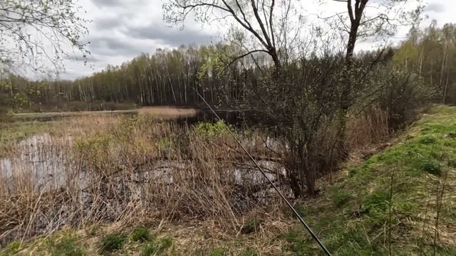 РАЗДАЧА НА МИКРОДЖИГ! Рыбалка весной на СПИННИНГ! Ловля Щуки на болоте! смотреть онлайн