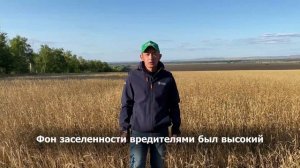 Борьба с трипсами на зерновых, Оренбург