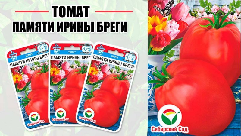 Томат "Памяти Ирины Бреги"