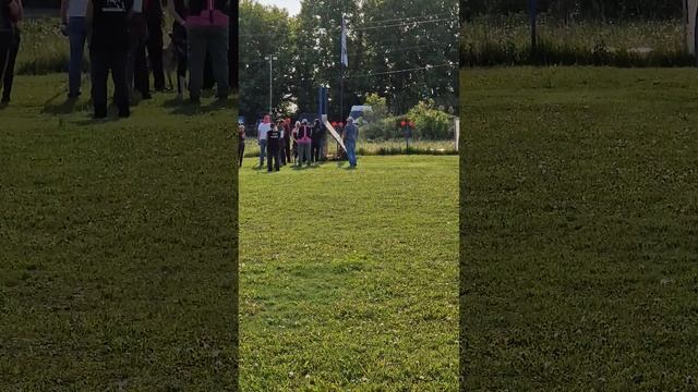 белая собака, мондьоринг mr1