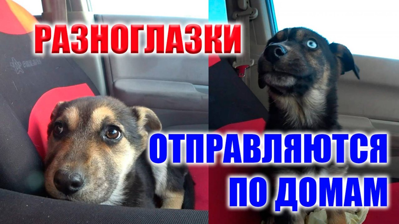День заселения. День заселения. День заселения. Заселение в общежитие вшэ. Киу общага.