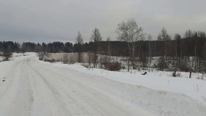 Глава Североуральска умышленно травит людей и ухудшает экологию (Видео)