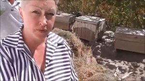 Лучший пчеловод в Узбекистане