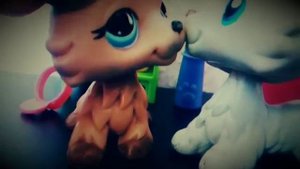 LPS: CRAZY in LOVE