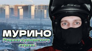 ДОСТАВКА НА СКУТЕРЕ! ЗАТАЩИЛО В ДЕВЯТКИНО! #яндекседа #доставка #курьер #работа