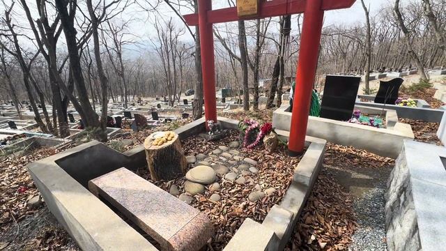 Ответ на практику. Аякс. Старая часть кладбища | Надежда