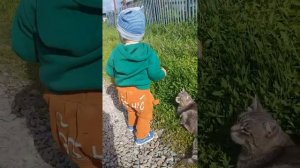 укусила кошка вот это подвох в конце((( а так все мило начиналось)))