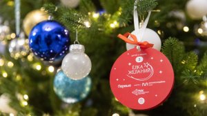 Лавров исполнит желания четырех детей в рамках «Елки желаний»