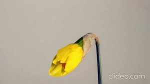 Наша жизнь - это Бог, наша радость в Иисусе | Христианская песня