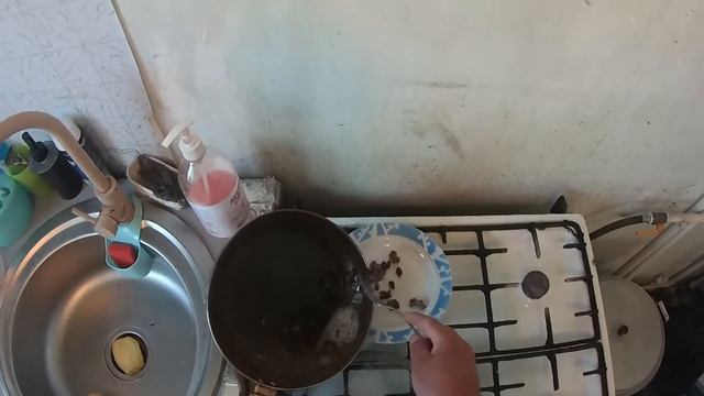 Сердце,печень,желудки,перепелов с жареной картошкой