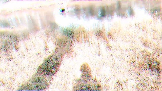 рыбалка с папой больше лайков больше контента смотреть онлайн