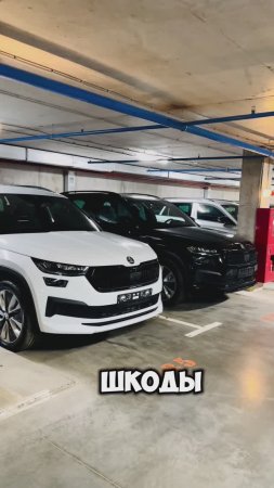 Новые дилерские Skoda Kodiaq в наличии в Москве