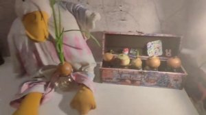 Реклама лука "Гусь одобряет"