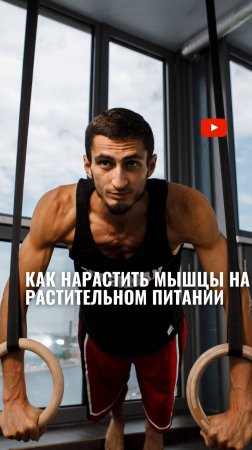 Как нарастить мышечную массу на растительном питании