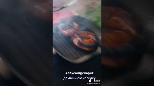 из дп