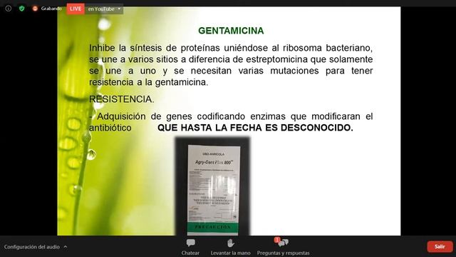 Enfermedades Bacterianas de la Papa Solanum Tuberosum смотреть онлайн