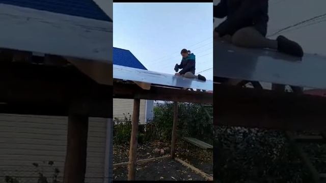 Теплица из подручных средств своими руками