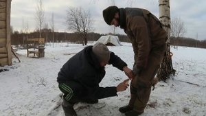КАСТРАЦИЯ ПОРОСЯТ / БИРКОВАНИЕ ЯГНЯТ / 18+
